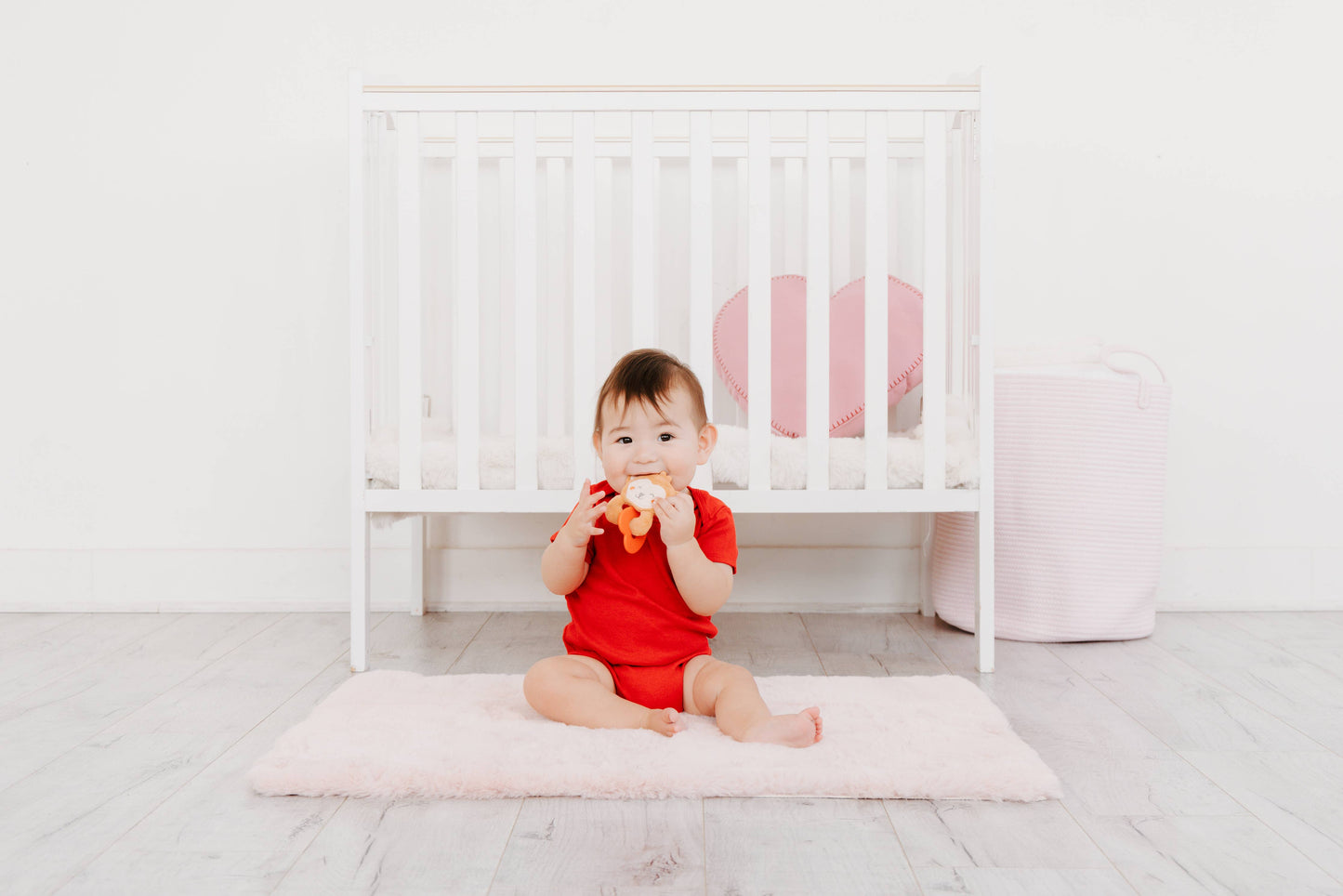 Baby Crinkle Teether Toy, Monkey